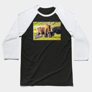 Bison at Yellowstone Baseball T-Shirt
